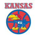 Angry Bird Jayhawk Tee